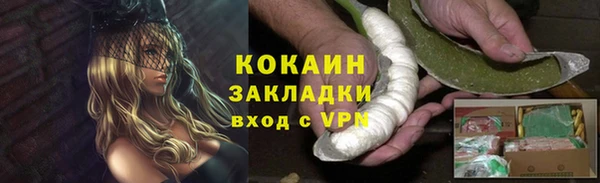 ПСИЛОЦИБИНОВЫЕ ГРИБЫ Алзамай