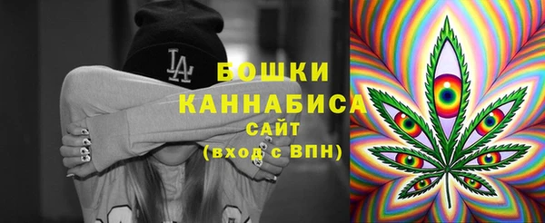 ПСИЛОЦИБИНОВЫЕ ГРИБЫ Алзамай